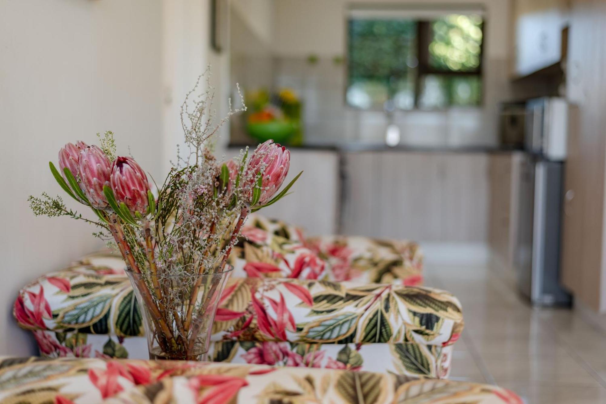 Elephant View Homestead Plettenberg Bay Bagian luar foto