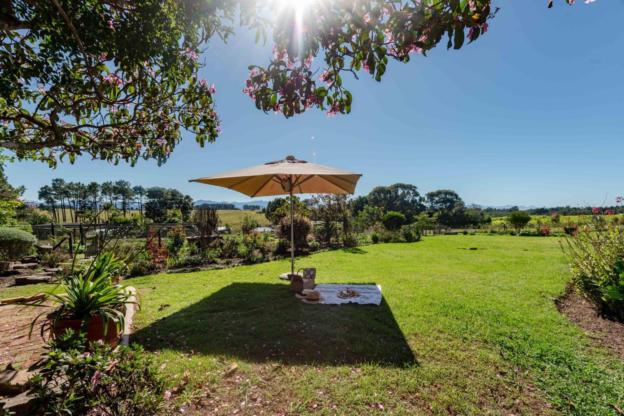 Elephant View Homestead Plettenberg Bay Bagian luar foto